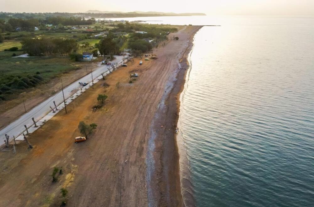 Sea Breeze Villa Kato Achaia Dış mekan fotoğraf